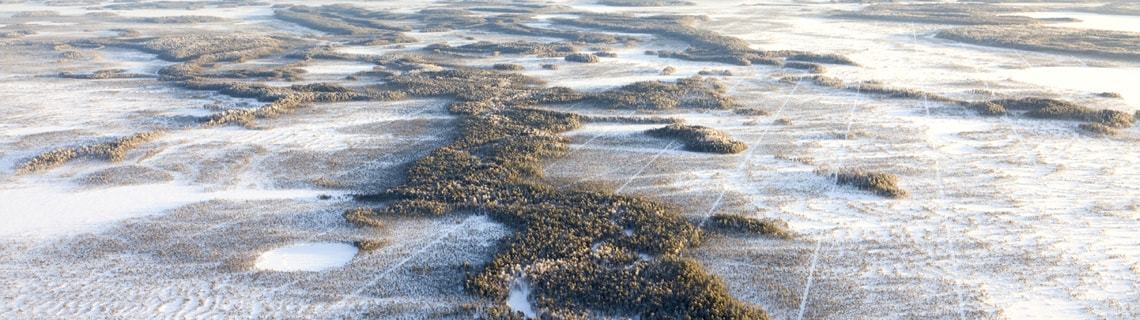 Thought Leadership page banner image 1